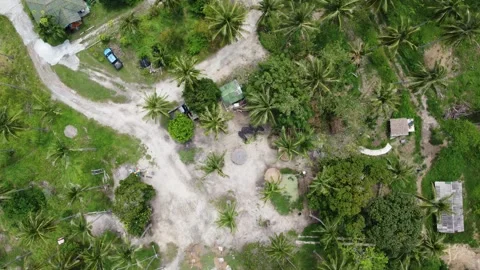 Aerial top down view of an elephant care center 4k Stock Footage 278652651