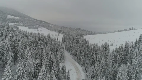 Aerial - Top down view of empty S-curved road between the snowy pine trees 스톡 동영상 85503235