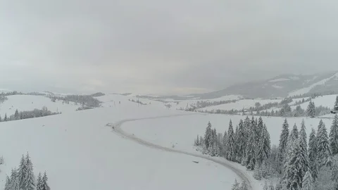 Aerial - Top down view of empty S-curved road between the snowy pine trees 스톡 동영상 85503681