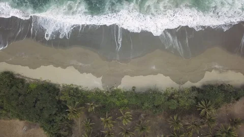 AERIAL Top-down view of empty sand beach with green palm trees Stock Footage 119699375