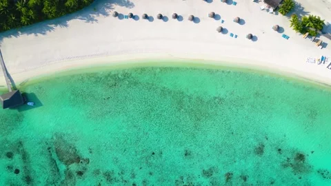 Aerial top down view of a empty, tropical beach with palm trees Video stock 263659498