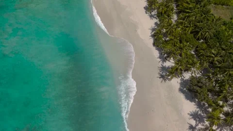 Aerial top down view of a empty tropical beach with palm trees Stock Footage 318527217