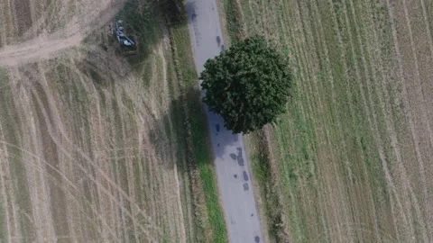 Aerial Top-Down View of Empty Road in Biskupin Stock Footage 325817235