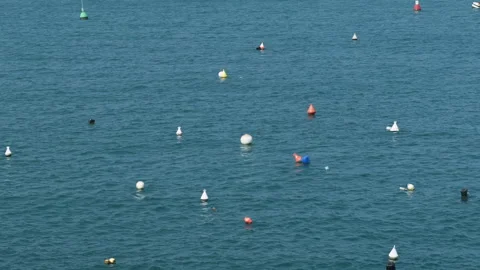 Aerial Top-Down View of Empty Mooring Buoys in Calm Sunny Sea Stock Footage 330863752