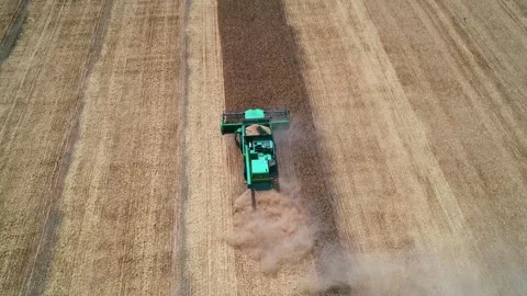 Aerial top down view of farm machine harvesting ripe crops in the golden field Stock Footage 242345653