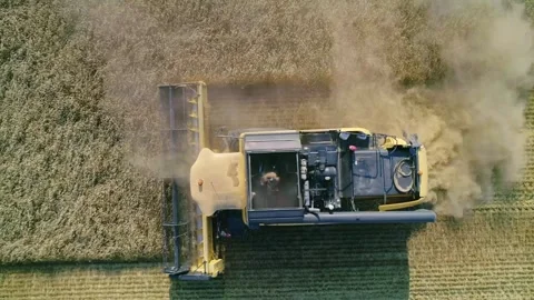 Aerial top down view of farm machine harvesting ripe crops in the golden field Video stock 242346812