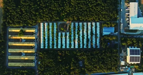 Aerial Top Down View Of Farming Grounds Modern Vegetable Chicken Egg Production Stock-Footage 289420182