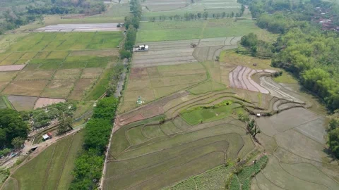 Aerial Top Down View of Farmland and Rice Fields Stock Footage 346427989