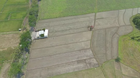 Aerial Top Down View of Farmland and Rice Fields Stock Footage 346428004