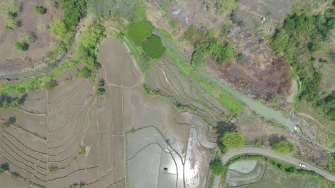 Aerial Top Down View of Farmland and Rice Fields Stock Footage 346428062