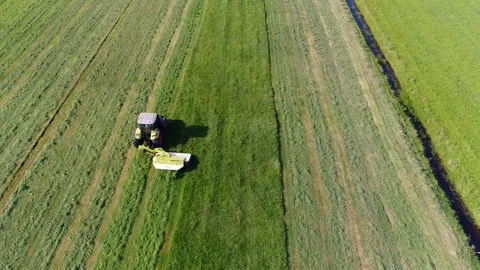 Aerial top down view flight over meadow first showing grass landscape 4k Stock Footage 86256859