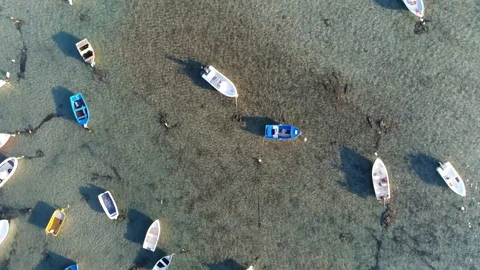 Aerial top down view flight over shallow bay 4k Stock Footage 110583029