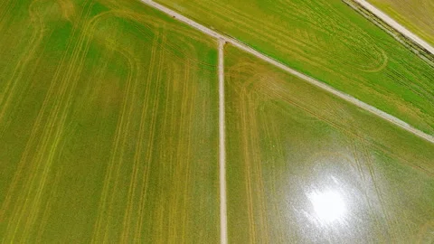 Aerial top down view of flooded rice field with irrigation road Stock Footage 339794650