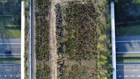 Aerial top down view flying over wildlife crossing above the animal bridge 4k Stock Footage 74540059
