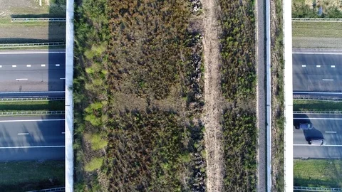 Aerial top down view flying over wildlife crossing right above the animal bridge Stock Footage 77628983