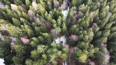 Aerial Top Down View Flying Over Winter Forest With Snow Covered Road 스톡 동영상 329557871