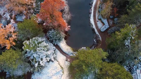 Aerial top down view flying over a snowy park Vídeo Stock 331944585