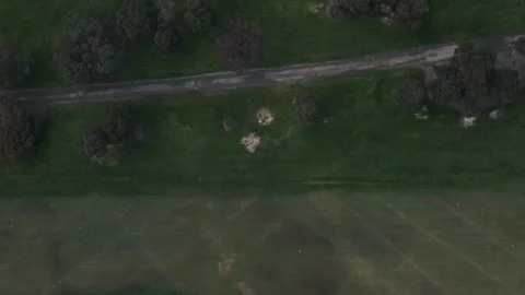 Aerial top-down view flying over a golf course Vidéo 342579578