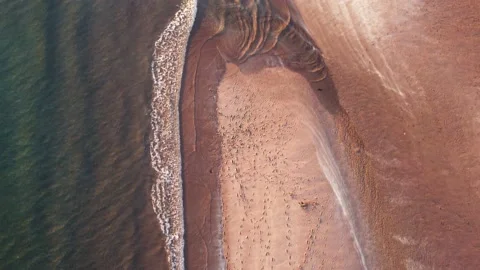 Aerial top down view of foot tracks on beach with waves and passing seagull 库存影片 164922945