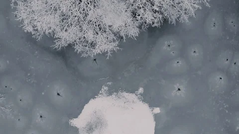 Aerial top down view of a forest covered in snow // South Germany 库存影片 127568478