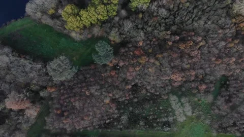 Aerial top down view of forest in the autumn, misty morning. Drone shot flying Stock Footage 144702288
