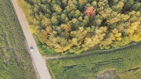 Aerial top down view of the forest, field and the road. Drone is zoom in Stock Footage 170140750