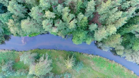 Aerial top down view of forest with narrow Vilnele river. Vilnius, Lithuania 스톡 동영상 278770112
