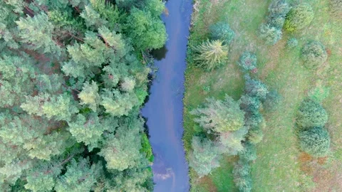 Aerial top down view of forest with narrow Vilnele river. Vilnius, Lithuania 库存影片 280731352