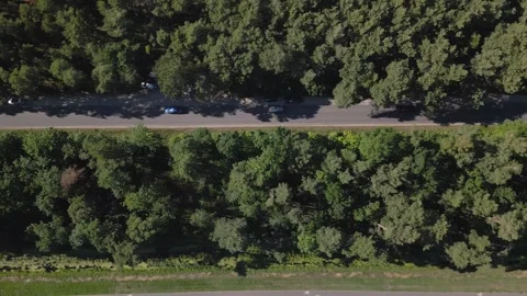Aerial Top-Down View of Forest Road with Cars and River, Ostrowo, Poland Stock Footage 301710271