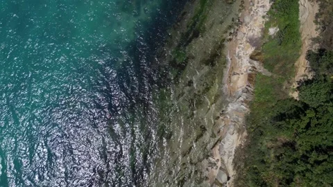 Aerial Top Down View of Forest Cliff and Wild Sandy Beach with Sea Waves Stock-Footage 347722701