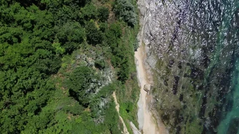 Aerial Top Down View of Forest Cliff and Wild Sandy Beach with Sea Waves Vídeos de archivo 347722750