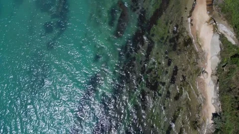 Aerial Top Down View of Forest Cliff and Wild Sandy Beach with Sea Waves Видео 347722832