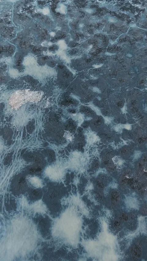 Aerial top down view of frozen Barycz Valley ponds in winter, vertical Stock Footage 334759136