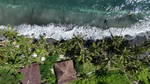 Aerial Top Down View of Gamat Bay Black Sand Beach and Palm Trees, Nusa Penida Stock-Footage 330540483