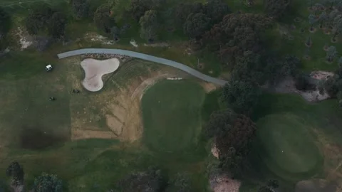 Aerial top-down view of golfers on green course Vidéo 342577079
