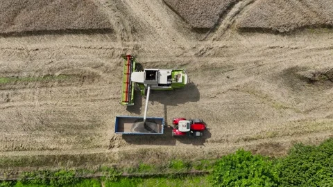 Aerial Top Down View of Grain Pouring from Combine into Tractor Trailer Stock Footage 341849422