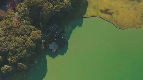 Aerial top down view of a green lake, Parque Barigui, Curitiba, Paraná, Vídeo Stock 160075826