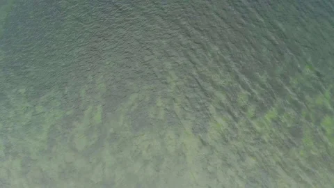 Aerial top down view of green water texture of river estuary with dirty greenish Stock Footage 166092733