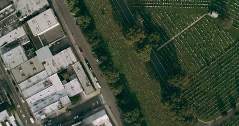 Aerial top down view of green cemetery next to highway in New York during the da Stock Footage 199459996