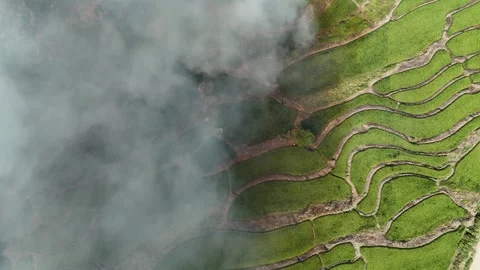Aerial Top Down View of Green Terraced Fields with Smoke from Stubble Burning Stock Footage 333482140