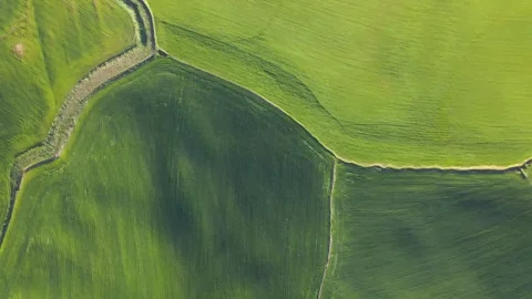 Aerial Top Down View of Green Patchwork Fields in Rural Tuscany Countryside Video stock 337540110