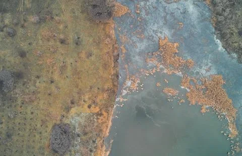 Aerial top down view of green and brown swamp vegetation pattern illustrating Stock Photos
