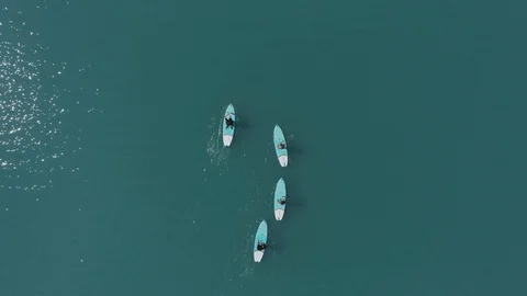Aerial top down view group four people on paddle boards paddling in blue lake Stock Footage 118668808