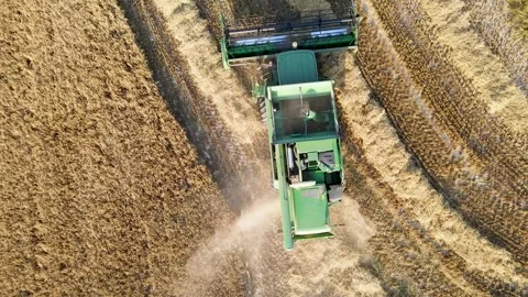 Aerial top-down view of harvester machine collecting golden ripe wheat. UK. 스톡 동영상 285736044