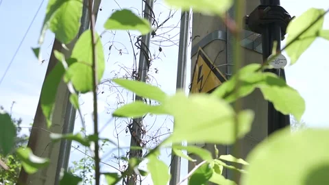 Aerial top down view high voltage steel power pylons in green field countryside Stock Footage 131417972