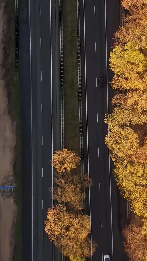 Aerial top-down view of highway traffic in autumn Stock Footage 327114171