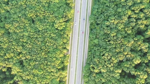 Aerial top-down view of a highway splitting a dense green forest Stock Footage 338013648
