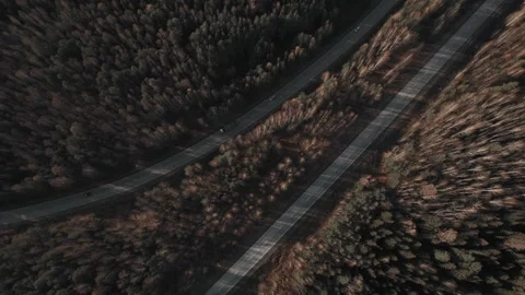 Aerial top down view of highway intersection crossing through dense autumn Stock Footage 347237429