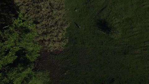 Aerial Top-Down View of a Hiker Walking Through a Green Landscape 2 Stock Footage 300289335