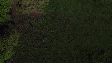 Aerial Top-Down View of a Hiker Walking Through a Green Landscape Stock Footage 300289941